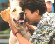 財 北海道盲導犬協会 パピーウォーカー制度