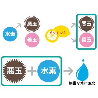 茨城でのエステは 最新マシンと老舗の技術で安心を提供するサロンシエルへ