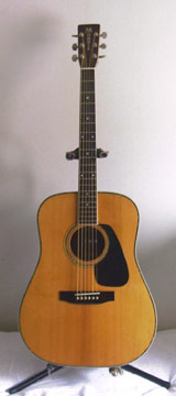 Guitar MD-520